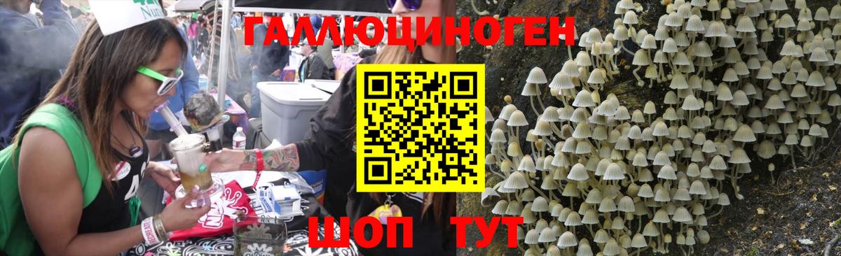 Псилоцибиновые грибы GOLDEN TEACHER Балабаново